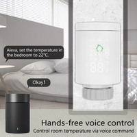 5 pièces Tuya ZIGBEE3.0 radiateur thermostatique Intelligent régulateur de température Programmable commande vocale via Alexa