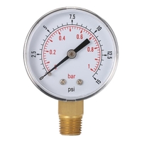 50mm 0 ~ 15psi 0 ~ 1bar Piscine Filtre Pression d