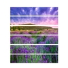 6 pcs / set autocollants autocollants de gradins auto-adhésifs de paysage en 3D paysage