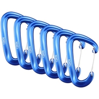6 pièces mousqueton 12KN mousqueton robuste pour hamacs Camping randonnée