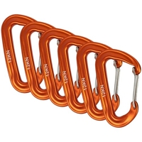 6 pièces mousqueton 12KN mousqueton robuste pour hamacs Camping randonnée
