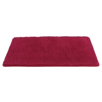 60 * 120cm Super Soft Area Tapis Shaggy Tapis très Absorbent antidérapante Footcloth Mat Tapis de Sol Tapis Fluffy Tapis de sol