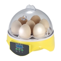 7 Oeufs Egg Mini Digital Incubator Hatcher Transparent oeufs d