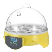7 Oeufs Egg Mini Digital Incubator Hatcher Transparent oeufs d