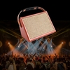 AC-15 15W Amplificateur de guitare acoustique portable Ampli BT Haut-parleur avec microphone