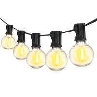 AC110-130V 21.33ft E12 Base G40 LEDs Guirlande Lumineuse 12 + 1 Ampoules Globe Blanc Chaud