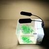 AC220V 15W 36 LEDs Double extrémité lampe pour bocal à poissons Aquarium Light