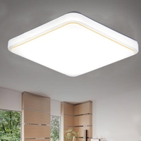 AC220V Carré LED Plafonnier Blanc Couleur Cuisine Balcon Porche Moderne Panneau Luminaire