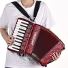 Ammoon 22 touches 8 basse Piano accordéon avec sangles réglables Gig Bag