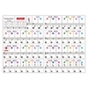 Ammoon Coloré Piano Clavier Autocollants pour 37/49/61/88 Clavier Clavier Amovible Transparent pour Enfants Débutants Piano Pratique Apprentissage