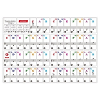 Ammoon Coloré Piano Clavier Autocollants pour 37/49/61/88 Clavier Clavier Amovible Transparent pour Enfants Débutants Piano Pratique Apprentissage