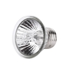 Ampoule de lampe chauffante pour reptiles 75W Ampoule de lampe chauffante pour tortue