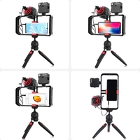 Andoer Kit de montage vidéo pour smartphone comprenant une cage pour smartphone avec 3 supports de chaussures froides + mini lumières vidéo LED + microphone avec pare-vent à montage antichoc + support de trépied de bureau + obturateur à distance pou