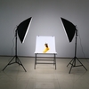 Andoer LED photographie Studio éclairage Kit d’éclairage avec 2 * 30W LED lampe + 2 * Softbox * 2 * clair Stand + 1 * sac de transport