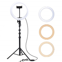 anneau lumineux mobile de bureau selfie beauté anneau lumineux 10 pouces 26 vibrato avec le même style de lumière de remplissage en direct de célébrité Internet 10 pouces / 26CM arc + PTZ + support de téléphone flexible + trépied 210CM