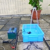 Anself ultra silencieux Mini DC12V 5W Micro Brushless eau huile pompe étanche Submersible Fountain Aquarium 260 L/H Lift 350 cm en circulation
