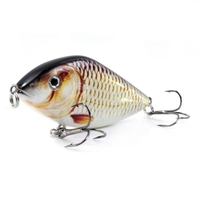 Appât dur bionique de leurre de pêche de 2.8in/0.5oz avec l