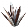 art de fer ornements de plantes d