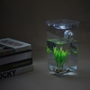 Auto-nettoyage petit réservoir de poissons Bowl commode Acrylique Bureau Aquarium pour Office Home Creative cadeaux pour enfants