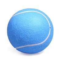 Balle de tennis gonflable standard 8 pouces de tennis de pratique pour l