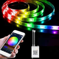 Bande de LED RGB lumière flexible BT APP 24 touches télécommande IR lampe de décoration de la maison