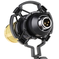 BM800 Micro à condensateur professionnel Podcast Équipement de diffusion en direct MIC USB Microfone Set Micro de studio avec support de bras Équipement d