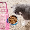 Bol pour aliments fixes pour animaux de compagnie Bol d