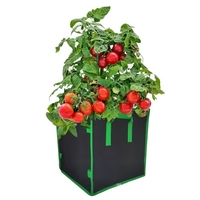 Boîte de jardinière carrée de 5 gallons pour jardin