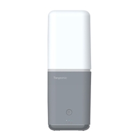 Boîte de rangement pour brosse à dents électrique portable Tangsonic