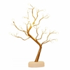 Branches d