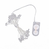 BZ234 2M 20 ampoules LED titulaire de la batterie claire décoration intérieure feston