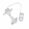 BZ246 3000mm 30 ampoules LED Feston de décoration intérieure de support de batterie clair