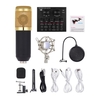 Carte son de mixage audio externe Interface audio USB avec plusieurs effets sonores Batterie rechargeable intégrée + Kit d