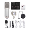 Carte son de mixage audio externe Interface audio USB avec plusieurs effets sonores Batterie rechargeable intégrée + Kit d