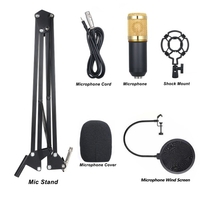 Carte son en direct multifonctionnelle et kit de microphone à suspension Enregistrement de diffusion Ensemble de microphone à condensateur Mélangeur audio intelligent Carte son pour ordinateur PC Son en direct