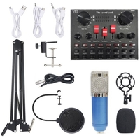 Carte son multi-fonctionnelle en direct BM800 Ensemble de microphones Équipements d