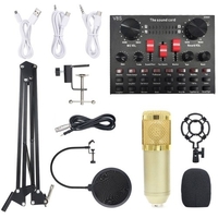 Carte son multi-fonctionnelle en direct BM800 Ensemble de microphones Équipements d