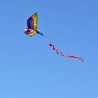 Cerf-volant énorme stéréoscopique de corde simple de 100m pour des jeux extérieurs de parc de plage
