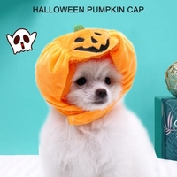 Chapeau de citrouille de chiot d