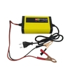 Chargeur de batterie de moto entièrement automatique 12V 2A