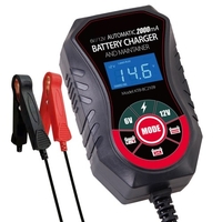 Chargeur de batterie de voiture 12V 2A Chargeur d