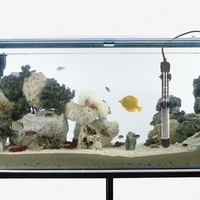 Chauffe-eau submersible de 50/100/200 / 300W La tige de chauffage antidéflagrante maintient automatiquement la température pour les poissons tropicaux d