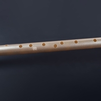 Clarinette de poche Sax Mini clarinette-Saxophone Portable petit Saxophone avec sac de transport Instrument à vent