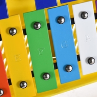 Colorful 25 Notes Glockenspiel Xylophone Percussion Rhythm Musical Éducation pédagogique Instrument Jouet avec 2 Mallettes Étui portatif pour bébé Enfant Enfants