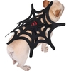 Costume pour animaux de compagnie Spider Web Chat Chien Halloween Noël Habillage Prop Costume de fête