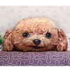 Coussin mignon de forme de tête d