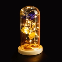 Couvercle en verre intérieur Rose bricolage décoration lampe romantique LED petite veilleuse cadeau de la Saint-Valentin