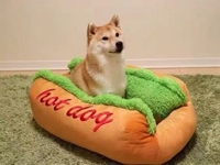Creative Akita six mille mêmes hot-dog chenil saucisse chenil pour animaux de compagnie chenil en peluche chenil amovible et lavable