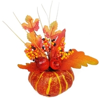 Décorations de citrouille d