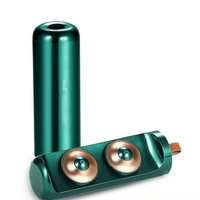 Dispositif de moxibustion électrique portatif Wellskins avec 2 têtes